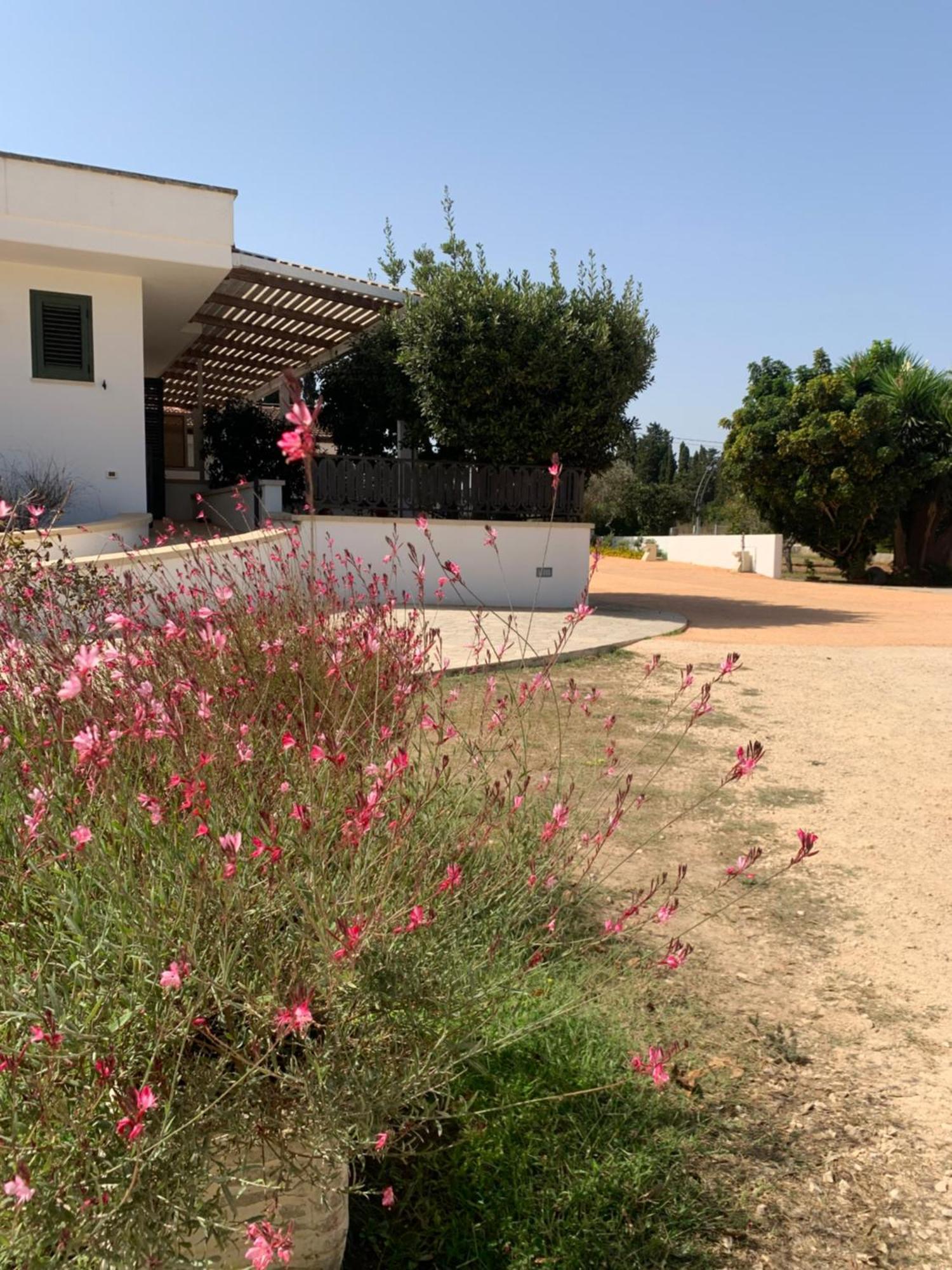 Alloggio per agriturismo Fontanelle *