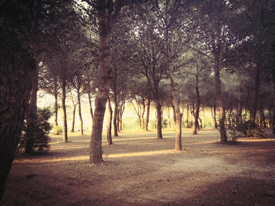 Alloggio per agriturismo Fontanelle
